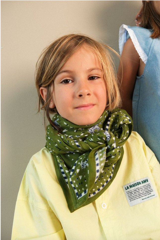 NEW Foulard Zebra Kaki (small)