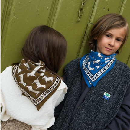 NEW Foulard Teckel kaki (small)