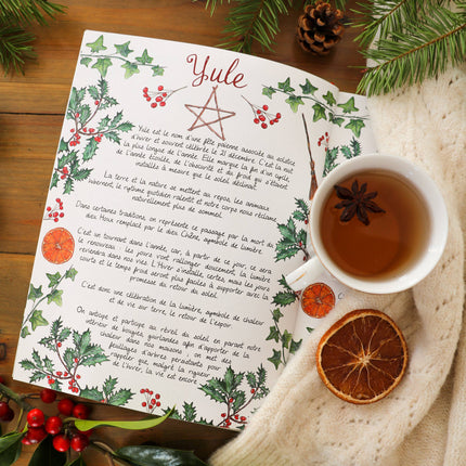 NEW Livre Mon Hiver Cosy