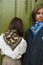 NEW Foulard Teckel kaki (small)