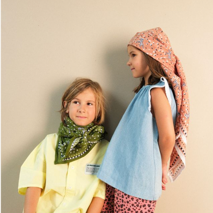 NEW Foulard Zebra Kaki (small)