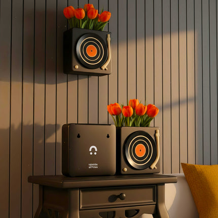 Vase DJ
