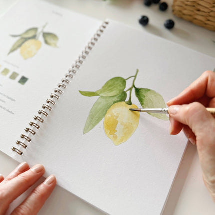 Cahier d'aquarelle Fruits