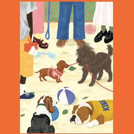 NEW Puzzle 100 pièces Sortir le chien