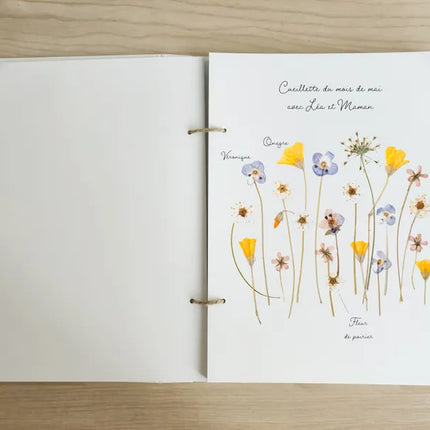 Herbier