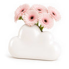Vase grand nuage