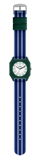 Montre A day on Earth