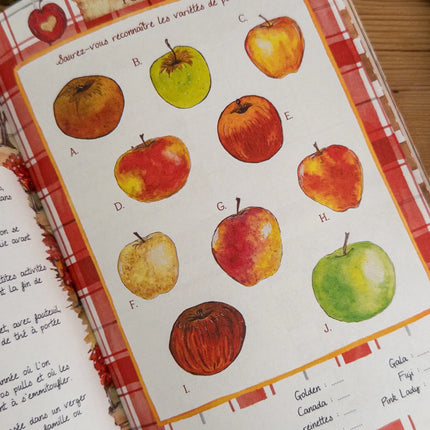 Cahier de jeux - Le temps d'un automne