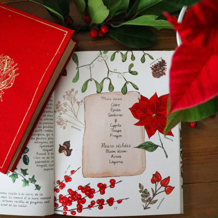 NEW Livre Mon Hiver Cosy