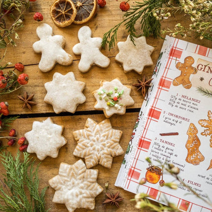 NEW Livre Mon Hiver Cosy