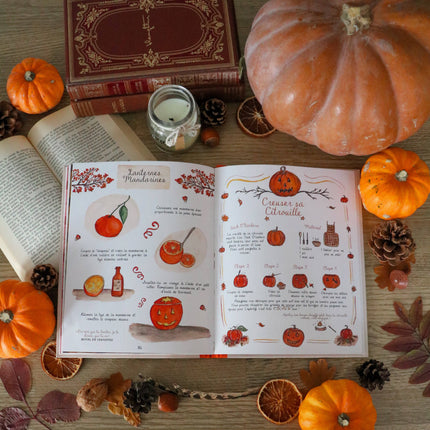 NEW Livre Mon Automne Cosy