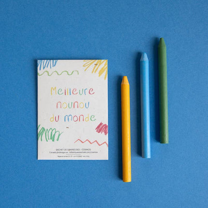 NEW Sachet de graines Meilleure Nounou du monde (cosmos)