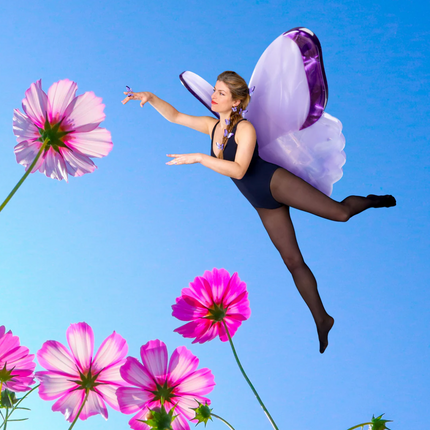 Pince à cheveux Papillon mauve