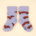 NEW Chaussettes Bébé et Enfant Teckel