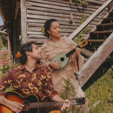 NEW Pince à cheveux châtaigner