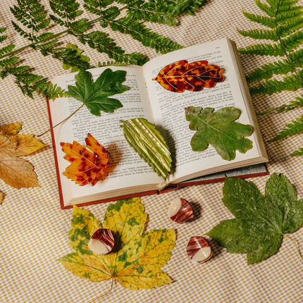 NEW French barrette feuille