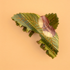 NEW Pince à cheveux châtaigner