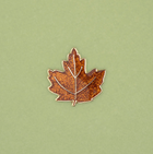 NEW Pin's Feuille d'érable