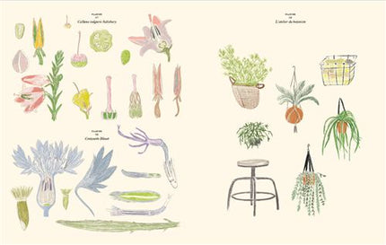 NEW Carnet de coloriages et de stickers / Le Jardin