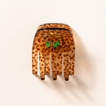 La jolie pince Tigre