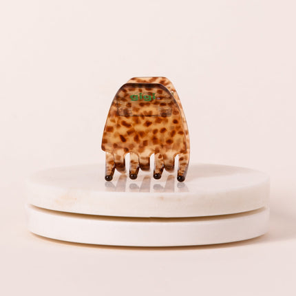 La mini pince Tigre