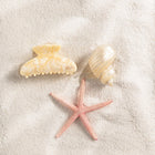 La belle pince Coquillage Chantilly