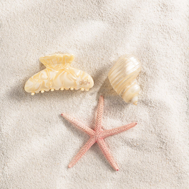 La belle pince Coquillage Chantilly