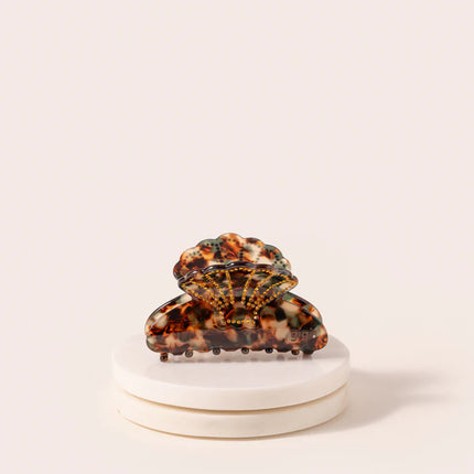 La belle pince Coquillage Ambre