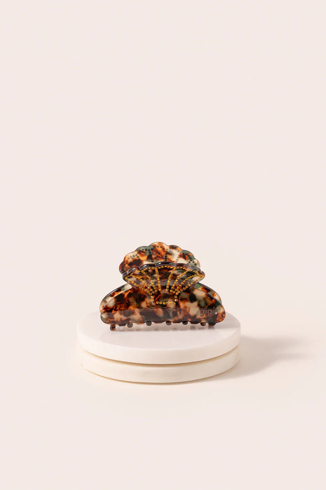 La belle pince Coquillage Ambre
