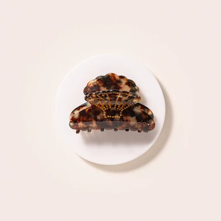 La belle pince Coquillage Ambre