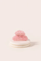 La belle pince Coquillage Rose