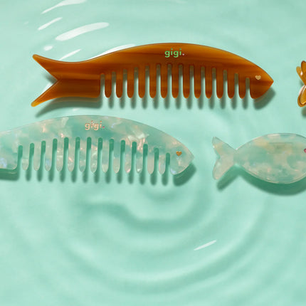 Le peigne Poisson Lagon
