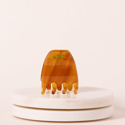La mini pince Coco