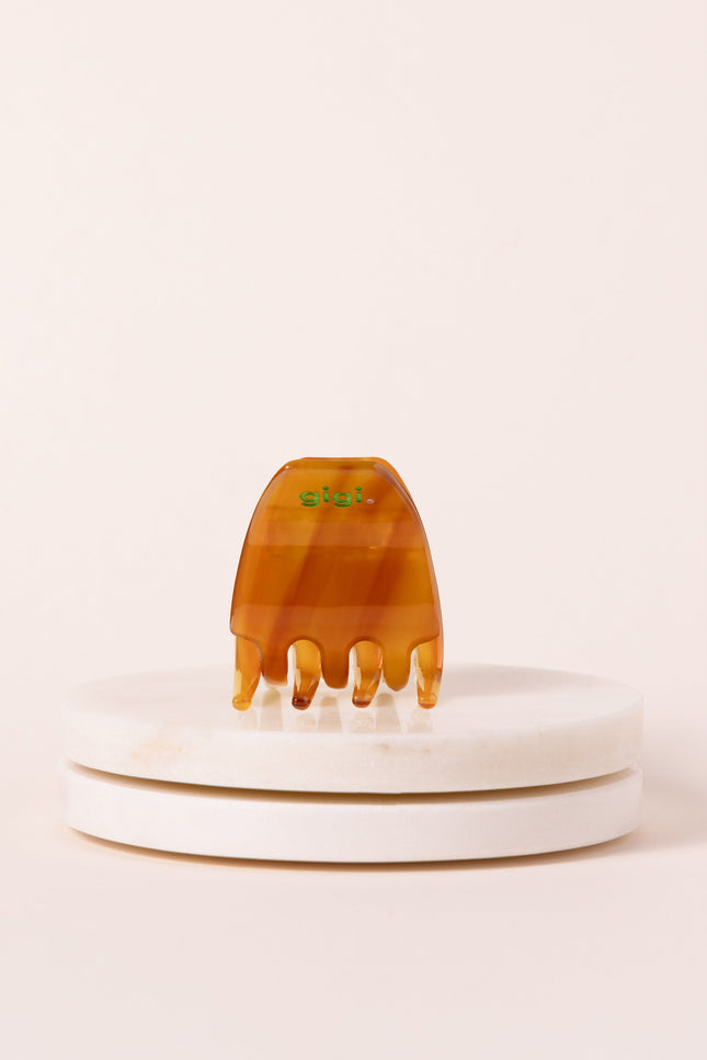 La mini pince Coco
