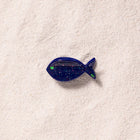 La pince poisson océan