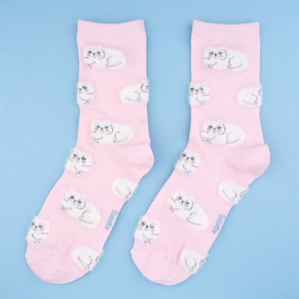 Chaussettes Chat persan