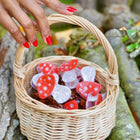 Pince à cheveux champignon