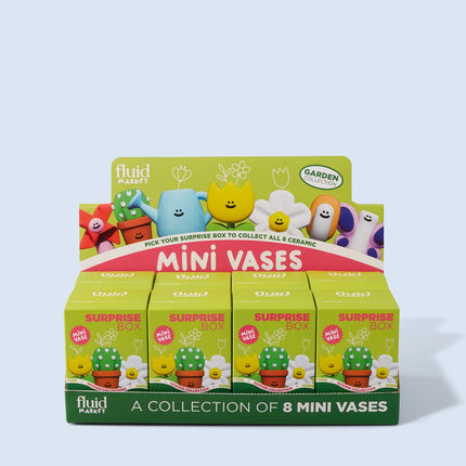 Mini vase surprise box Garden
