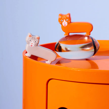 NEW Sel & Poivre Chat