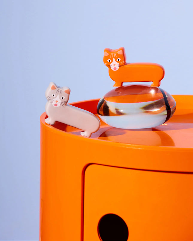 NEW Sel & Poivre Chat