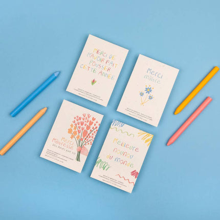 NEW Sachet de graines Meilleure Nounou du monde (cosmos)