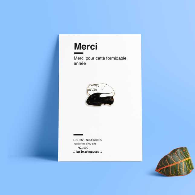 Pin's Deux chats - Merci (fin d'année scolaire)