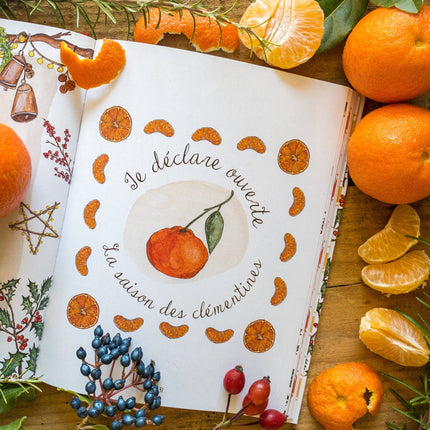 NEW Livre Mon Hiver Cosy