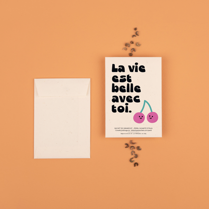 NEW Sachets de graines La vie est belle avec toi (persil)