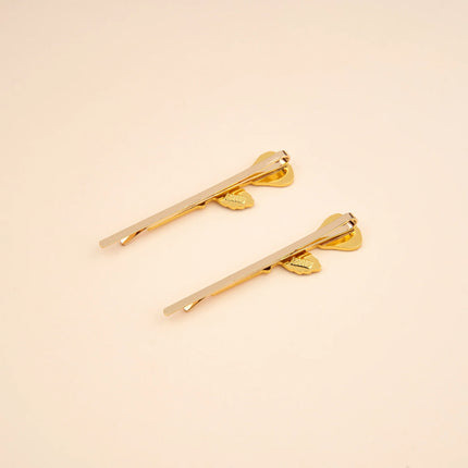 Duo de barrettes fines Roses