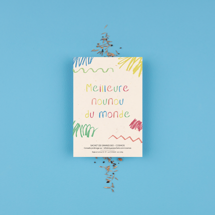 NEW Sachet de graines Meilleure Nounou du monde (cosmos)