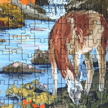 Puzzle 500 pièces Patagonie