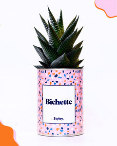 Cactus Bichette